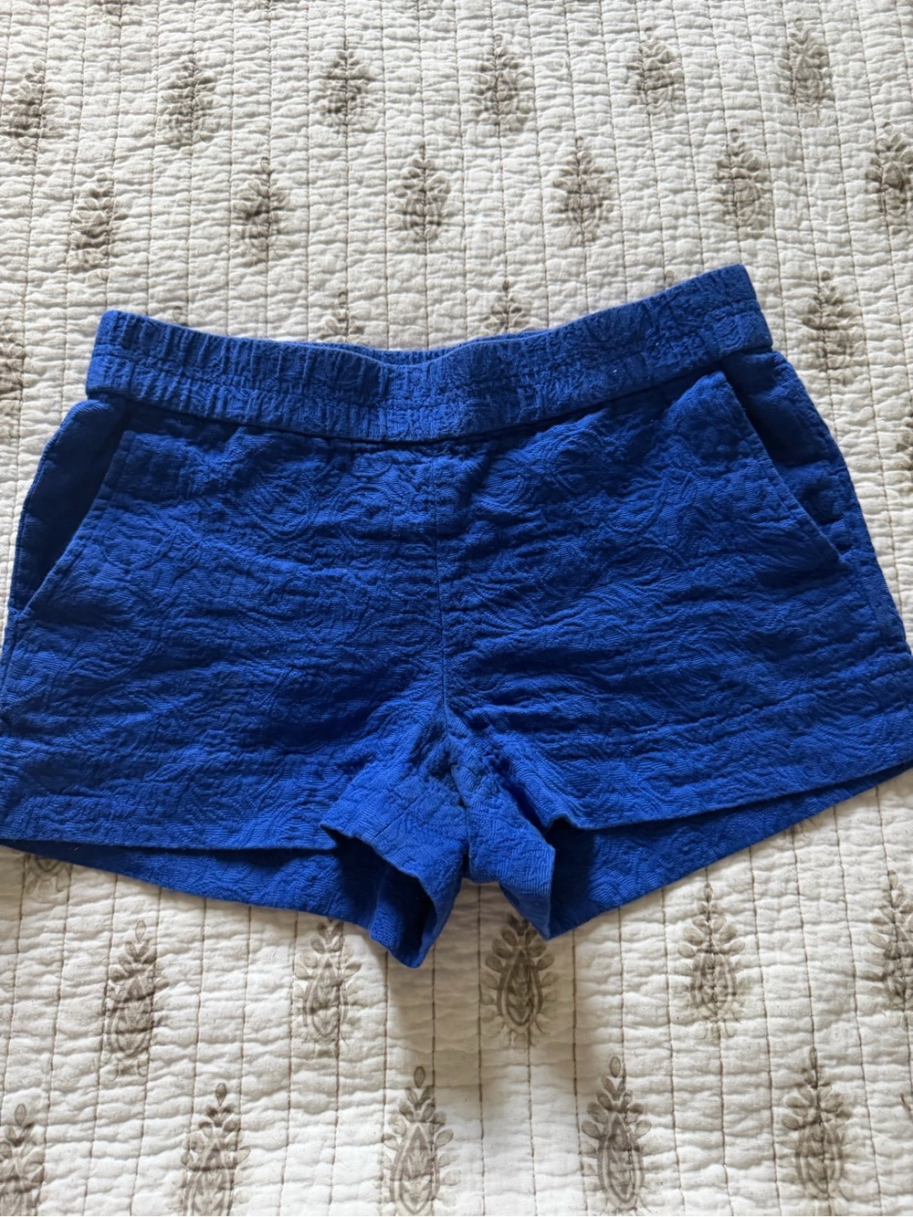 J. Crew Royal Blue Textured Athletic Shorts